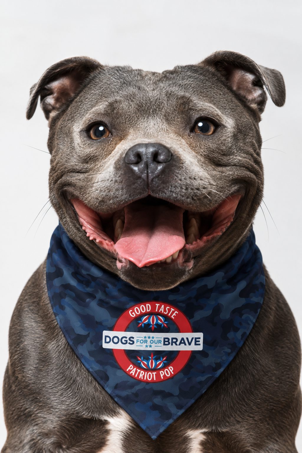 Dog wearing a Good Taste x Dogs For Our Brave bandana